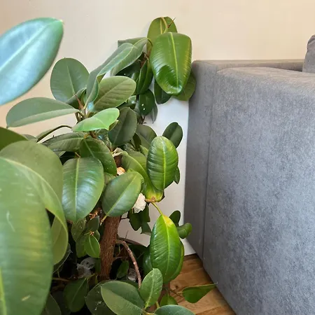 Sena Center Σαράγεβο