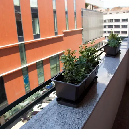 Sena Center Apartman *